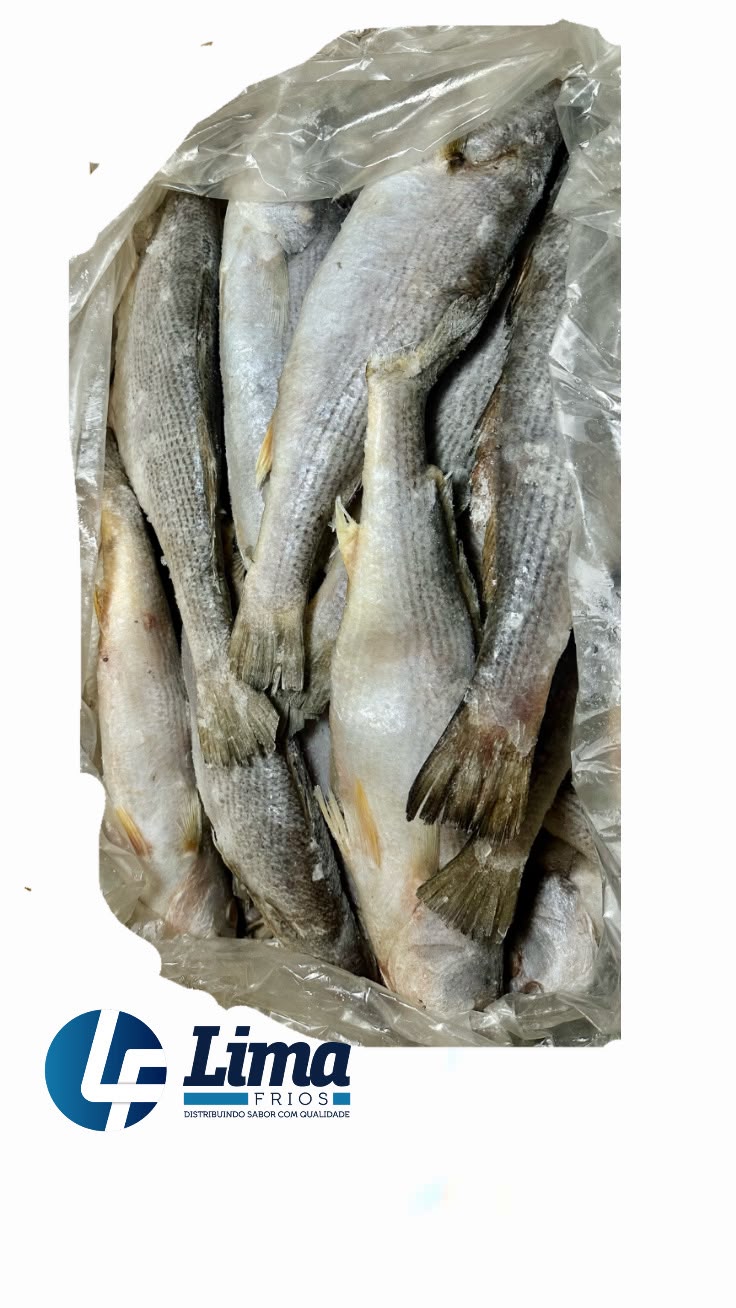 PEIXE PESCADA INT 700UP AQUAPESCA CX/15K