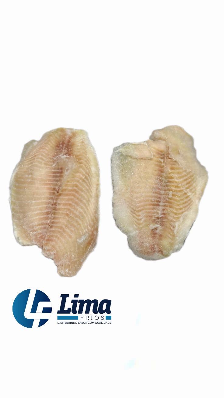 FILE TILAPIA FORTFISH 140/200G CX/10KG
