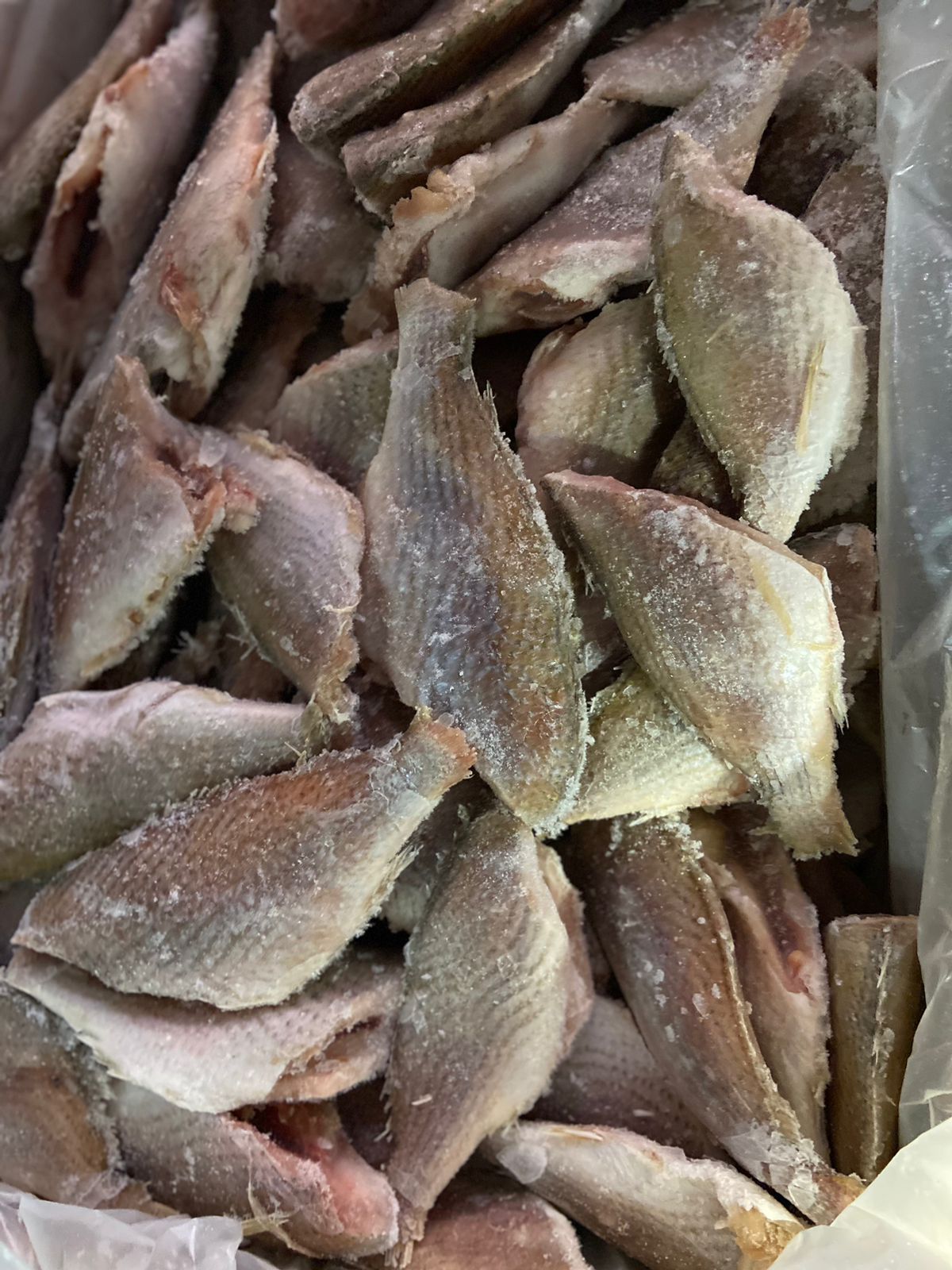 PEIXE CASTANHA EVISC 5/7 LAGOPESCA CX/15