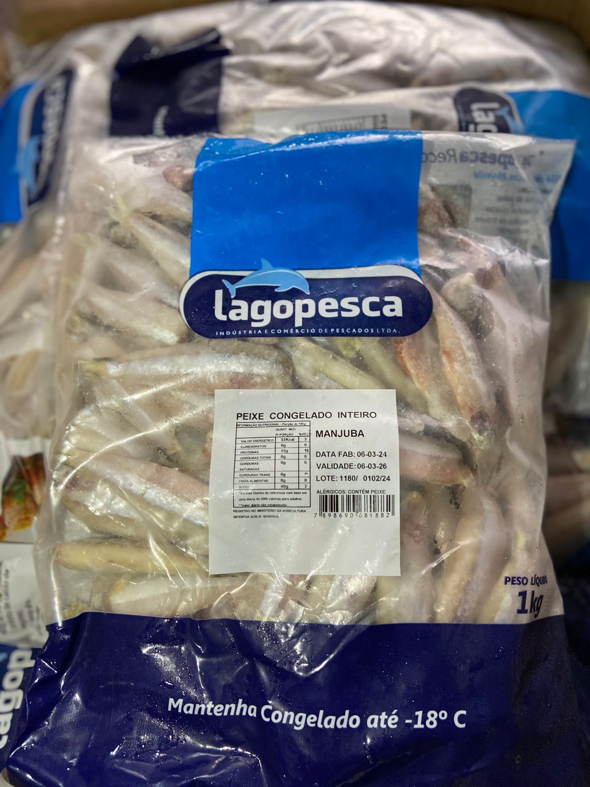 PEIXE MANJUBA INT PT LAGOPESCA CX/15