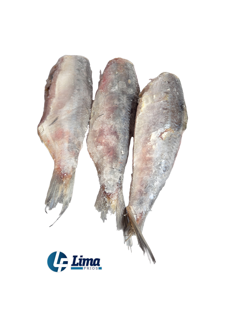 PEIXE SARDINHA EVISC 8/10 AQUAPESCA CX15