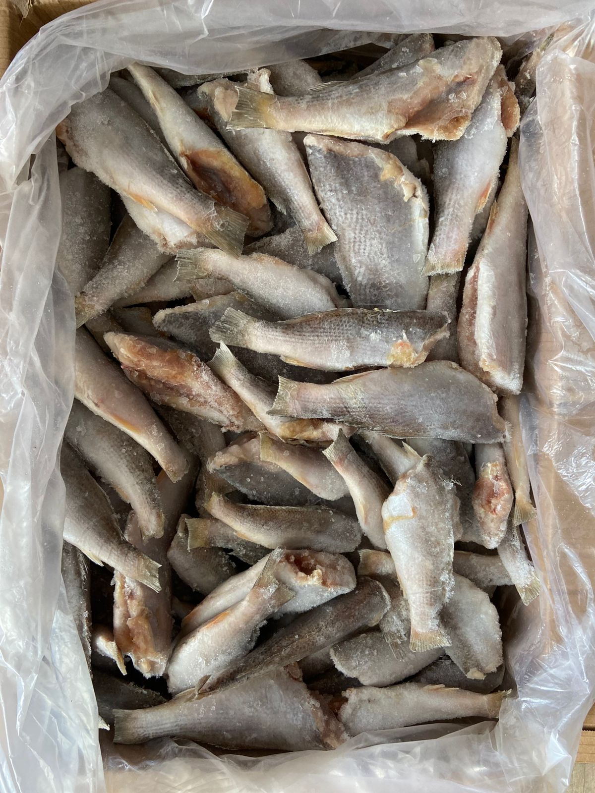 PEIXE PESCADA EVISC 6/8LAGOPESCA CX/15KG