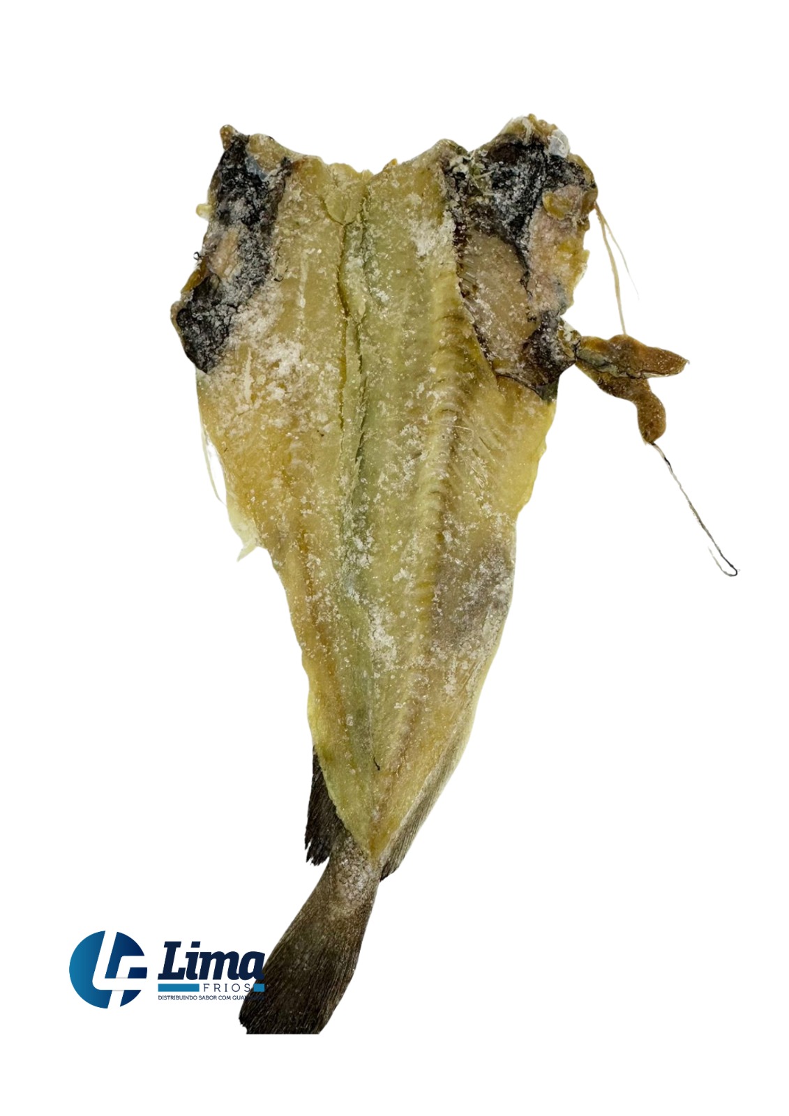 PEIXE POLACA ESPALMADO SALGADO G CX/10KG