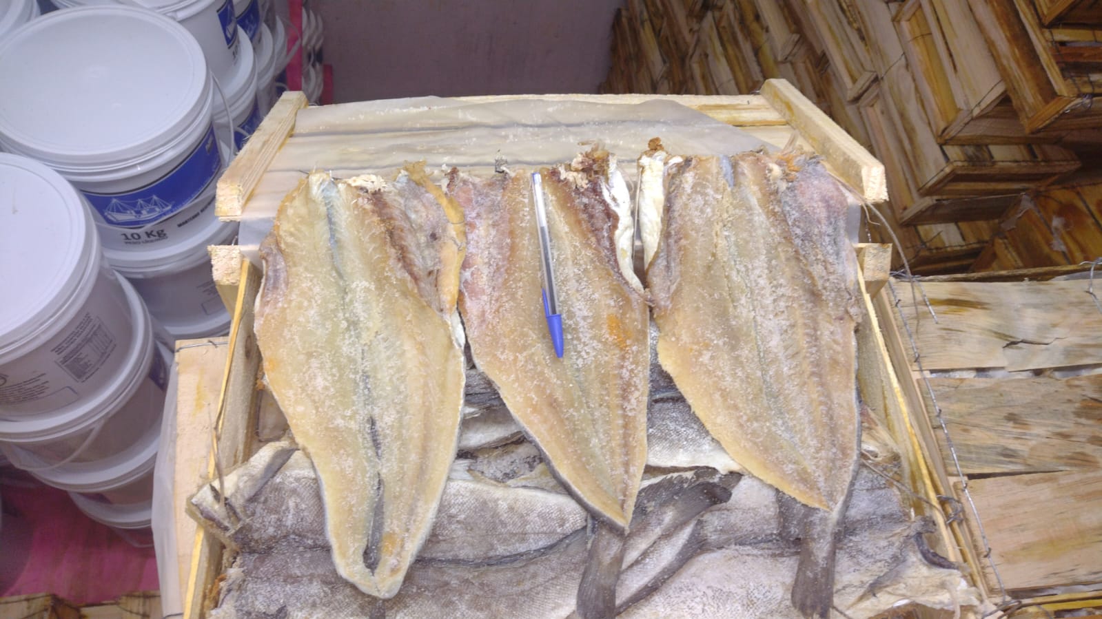 PEIXE POLACA ESPALMADO SALGADO M CX/10KG
