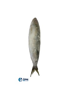 PEIXE CAVALINHA INT2/4 LAGOPESCA CX/15KG