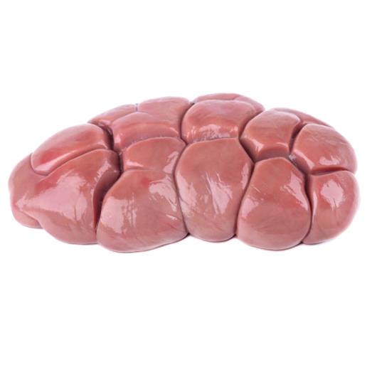 RINS FRIGOLESTE BOVINO KG CX/25KG