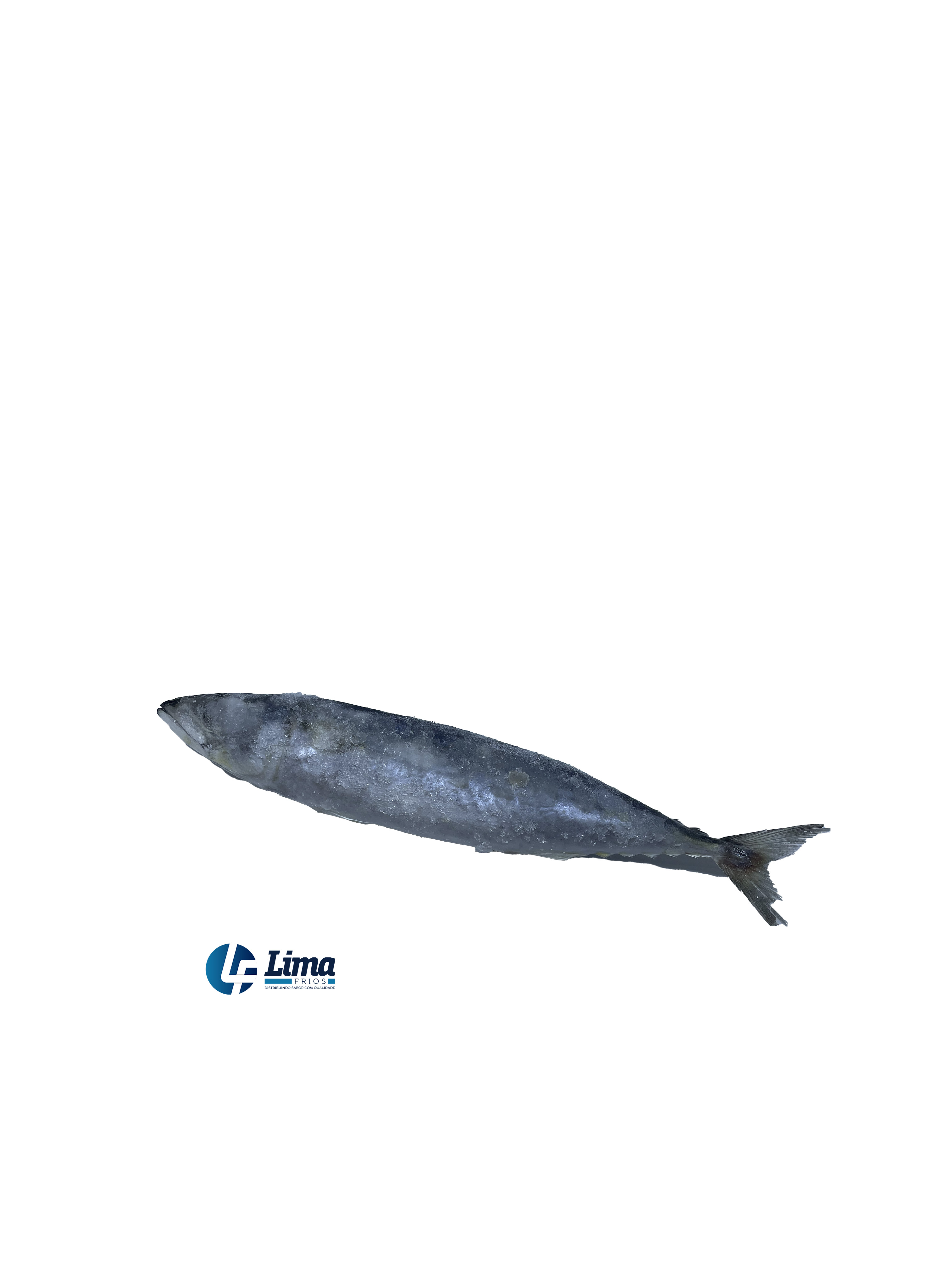 PEIXE CAVALINHA INT 7/9 LAGOPESCA CX/15
