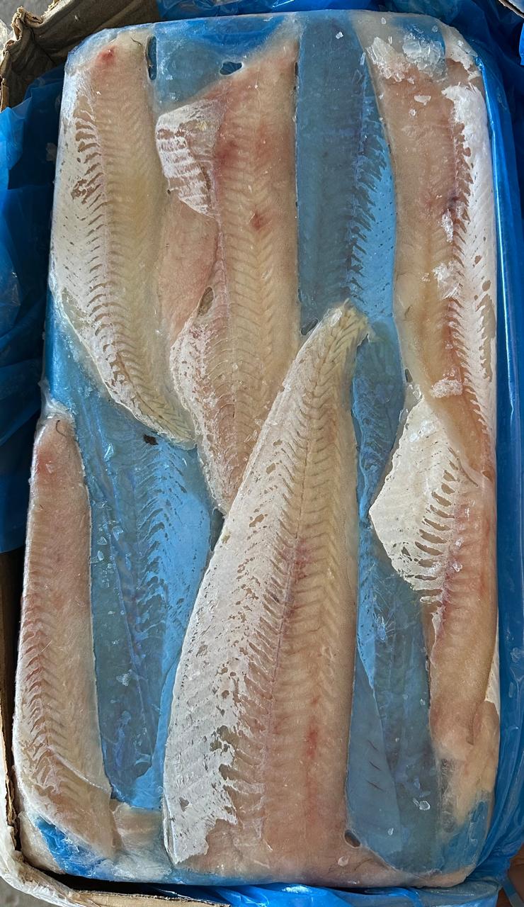 PEIXE FILE MERLUZA ARG AQUAPESCA CX/21KG