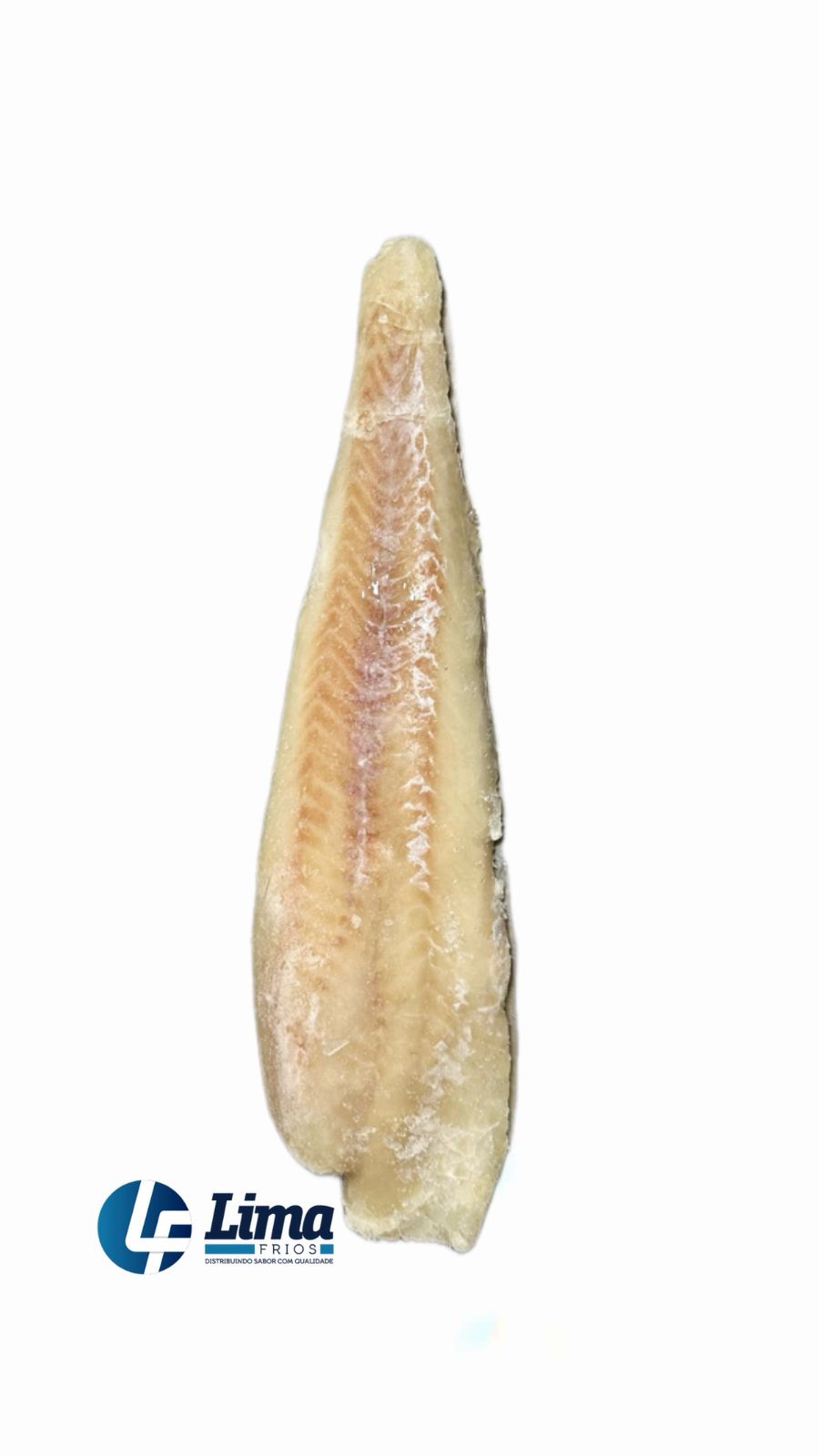 FILE MERLUZA FORTFISH CX/14KG