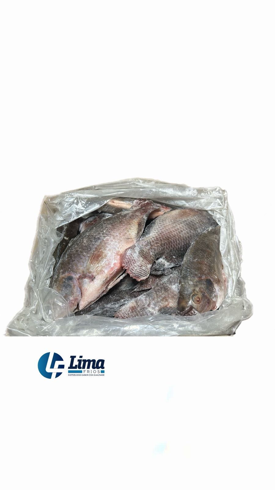 PEIXE TAINHA INT 1/2 CX/15KG