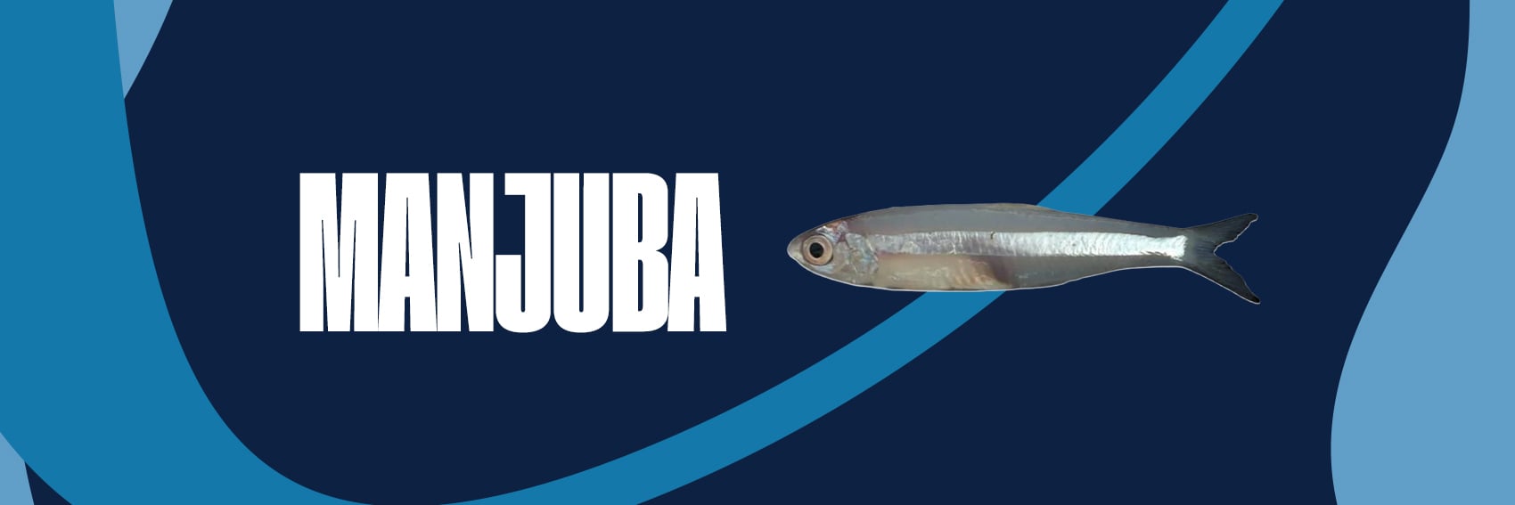 SARDINHA 